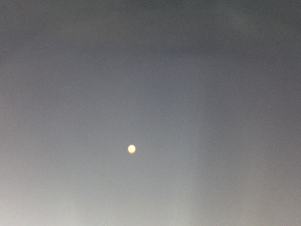 Photograph of the moon in the pre-dawn